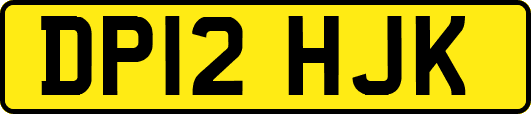 DP12HJK