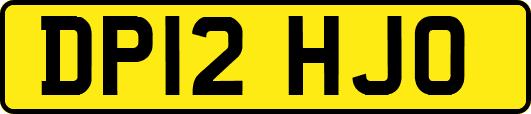 DP12HJO