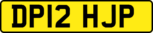 DP12HJP