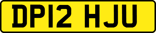 DP12HJU