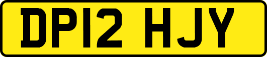 DP12HJY