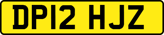 DP12HJZ