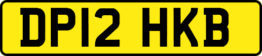 DP12HKB