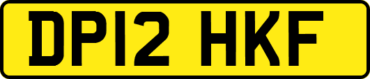 DP12HKF