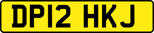 DP12HKJ