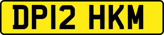 DP12HKM