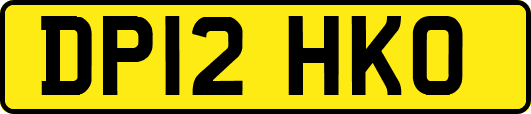 DP12HKO