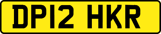 DP12HKR