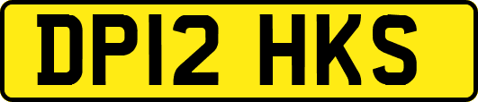 DP12HKS