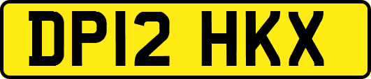 DP12HKX