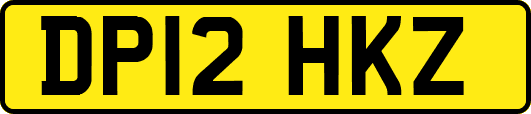 DP12HKZ