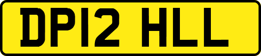 DP12HLL