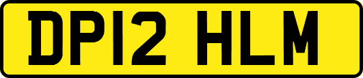 DP12HLM