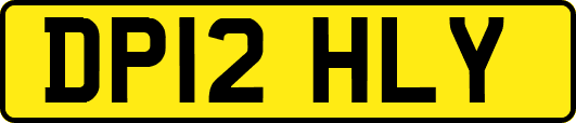 DP12HLY
