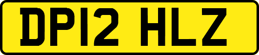 DP12HLZ