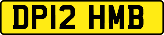 DP12HMB
