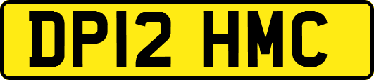 DP12HMC