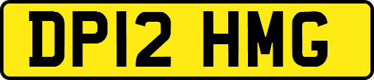 DP12HMG