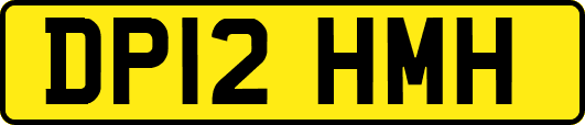 DP12HMH