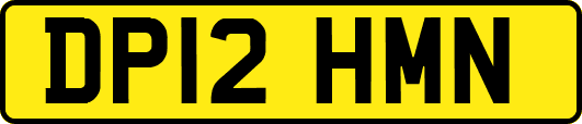 DP12HMN