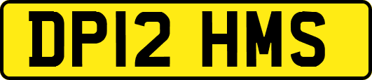 DP12HMS