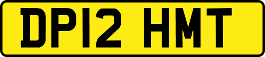 DP12HMT