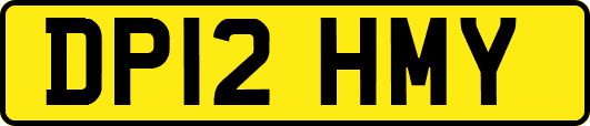 DP12HMY