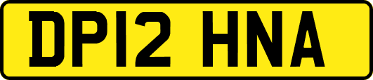 DP12HNA