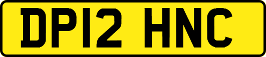 DP12HNC