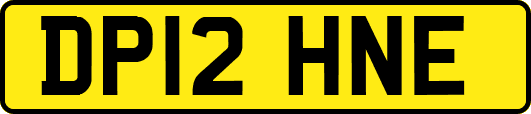 DP12HNE