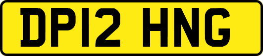 DP12HNG