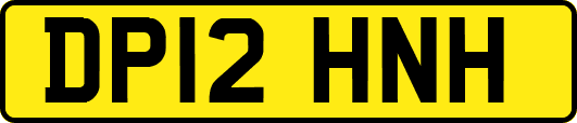 DP12HNH