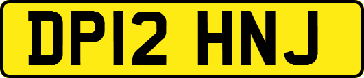 DP12HNJ