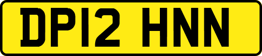 DP12HNN