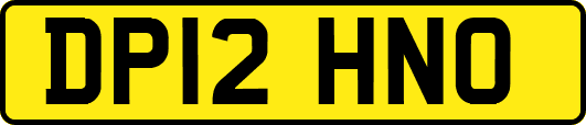 DP12HNO