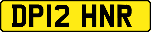 DP12HNR