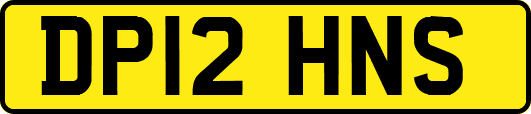 DP12HNS