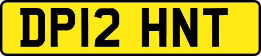 DP12HNT