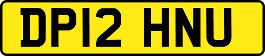 DP12HNU