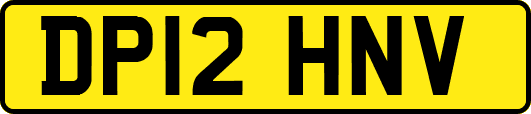DP12HNV