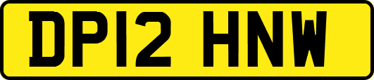 DP12HNW