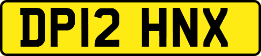 DP12HNX