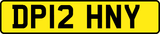DP12HNY