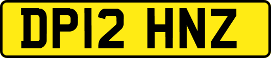 DP12HNZ