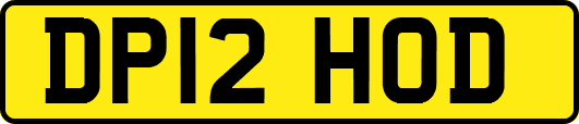 DP12HOD