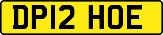 DP12HOE