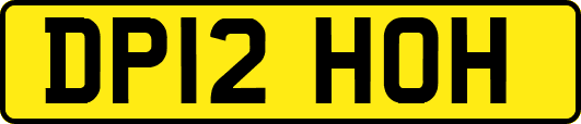 DP12HOH