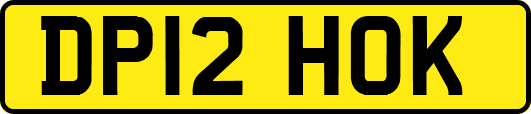 DP12HOK