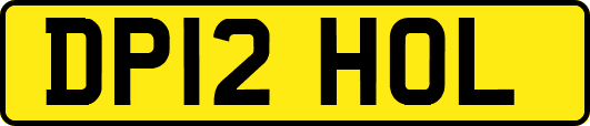 DP12HOL