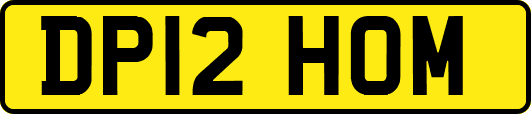 DP12HOM